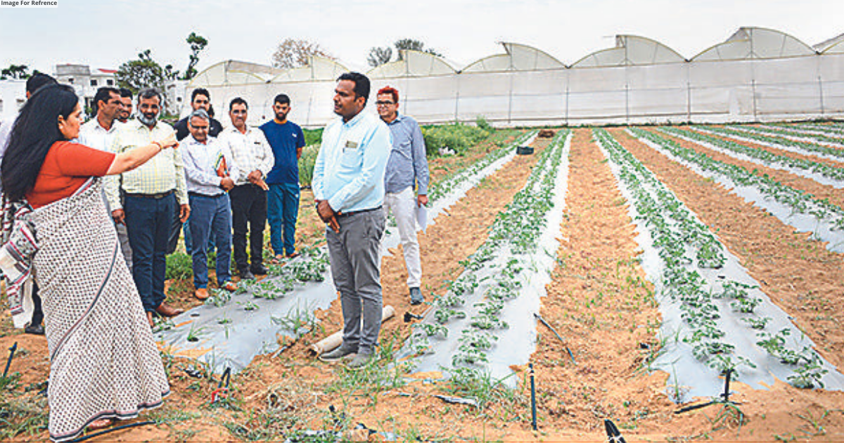 CS interacts with farmers who are using innovative methods, inspects fields